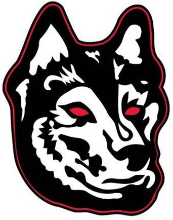 Northeastern Huskies 2007-Pres Alternate Logo t shirts iron on transfers v2
